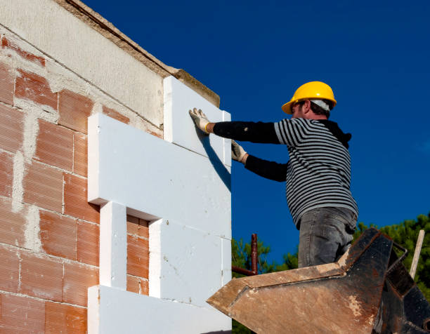 Best Cellulose Insulation  in Ridgemark, CA