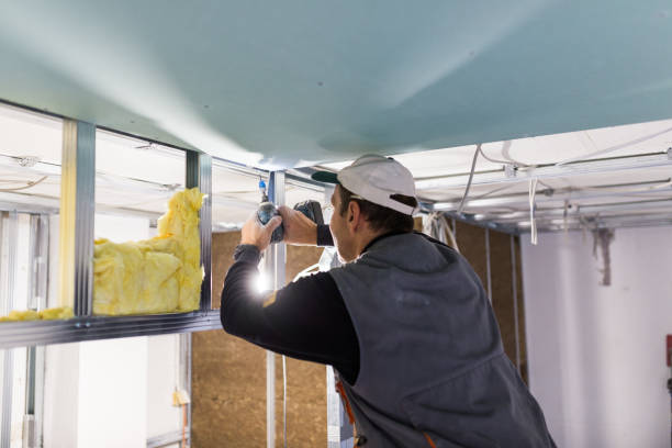 Best Insulation Replacement Services  in Ridgemark, CA